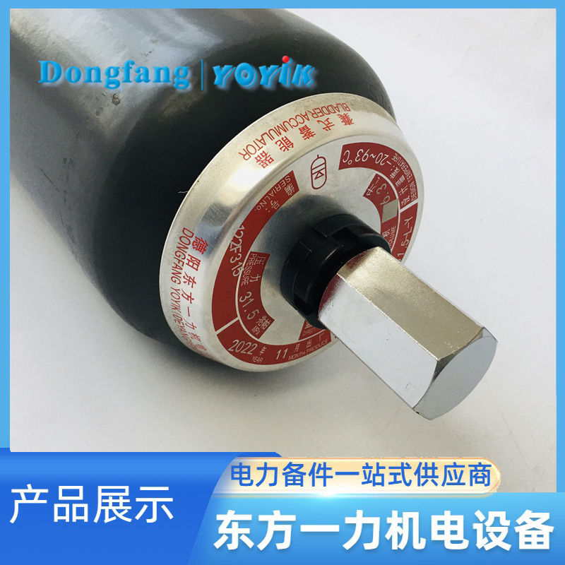 蓄能器NXQ-A-25/20-L-Y 蓄能器NXQ-A-25/20-L-Y