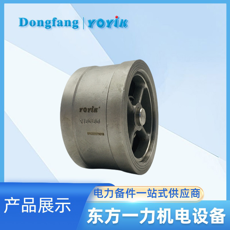 止回阀216C80 止回阀216C80