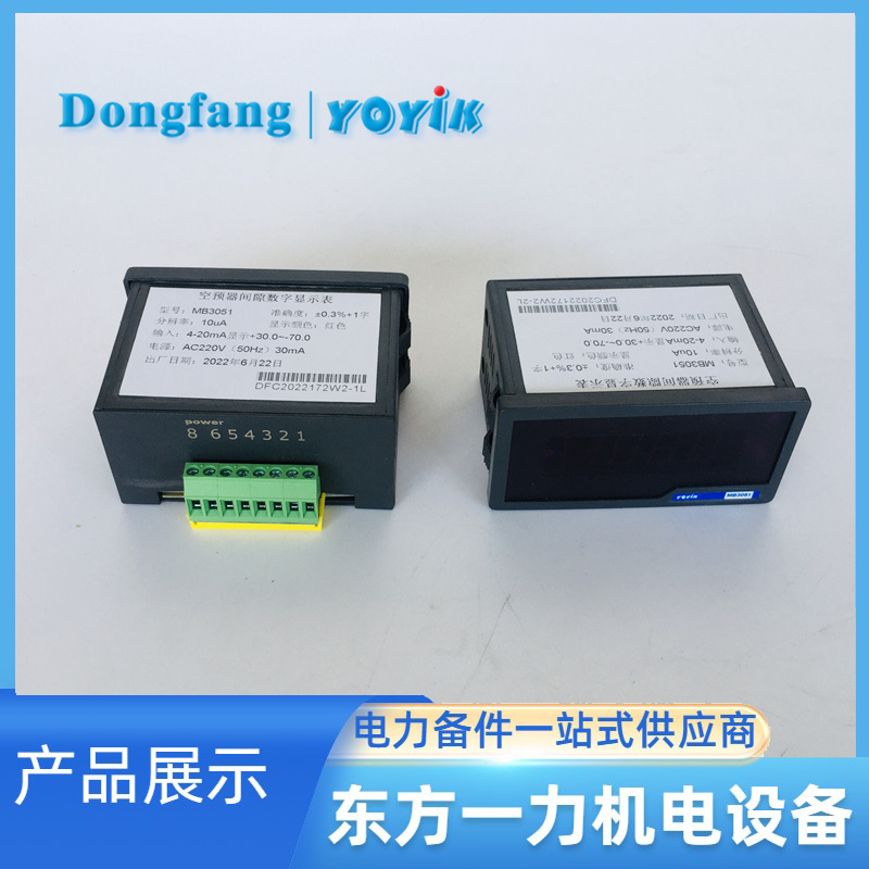 数显表MB3051 数显表MB3051