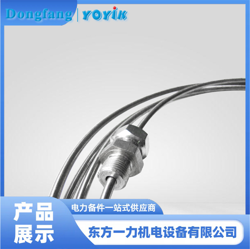 双支铠装热电偶 双支铠装热电偶