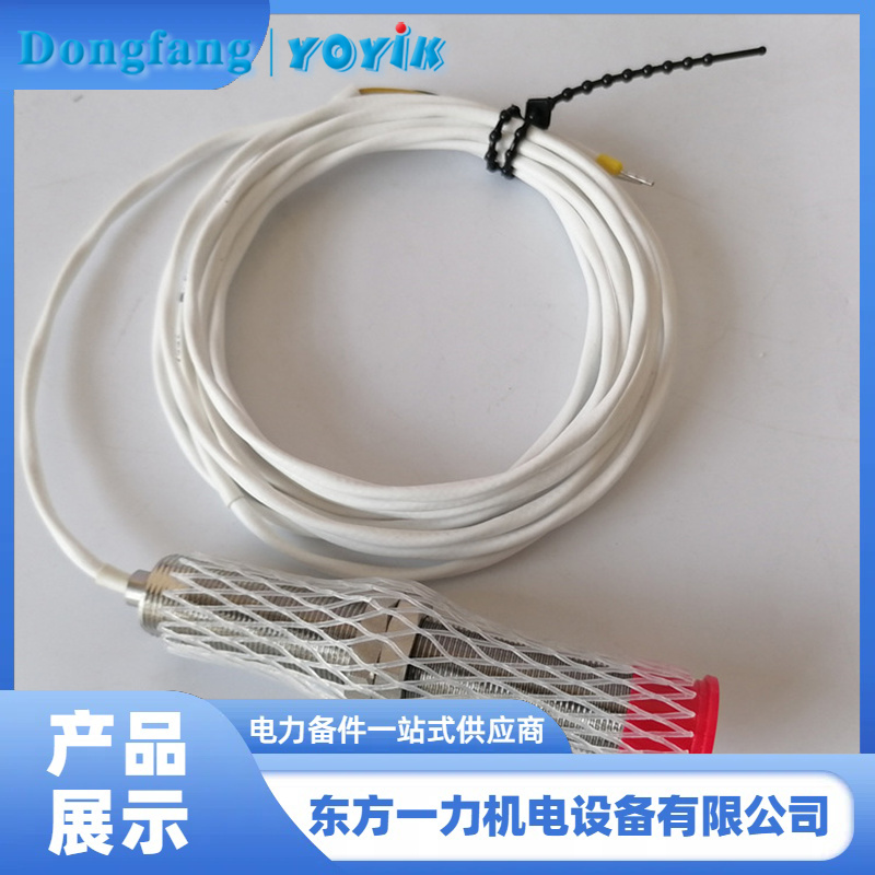 磁阻探头CS-1-D-100-02-01