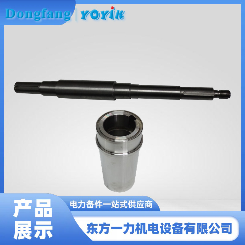 汽轮机交流润滑油泵配件