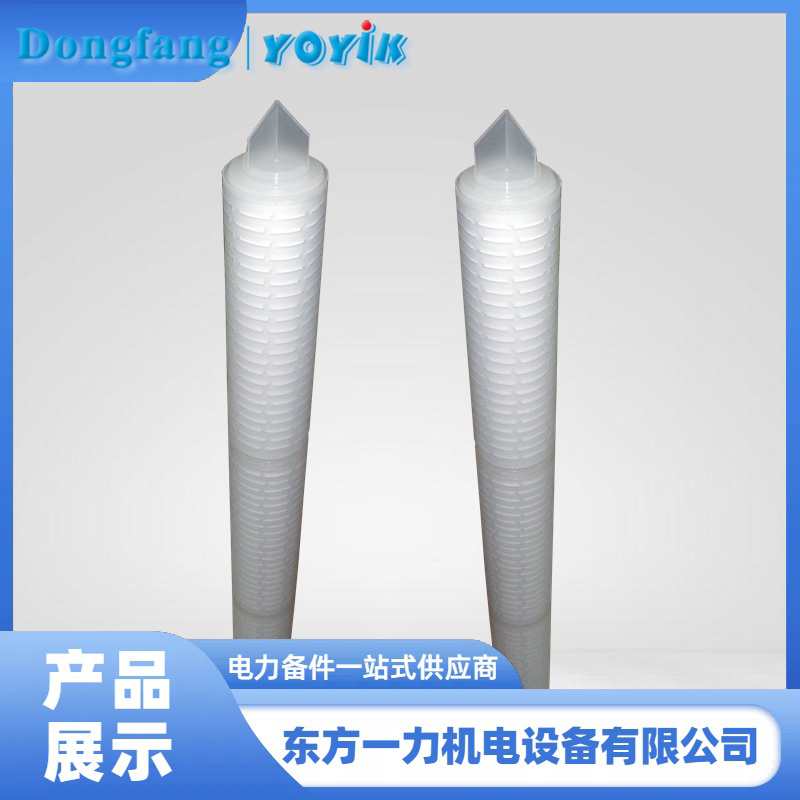 定子冷却水滤芯