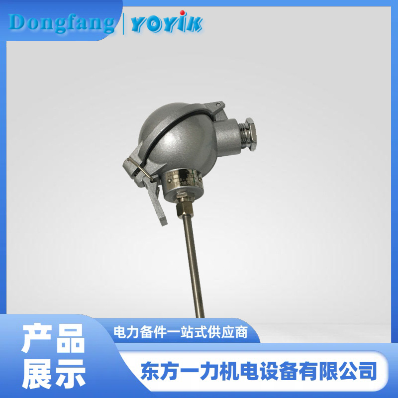 双支铠装热电偶